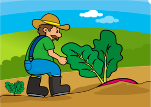 the-farmer-and-the-beet-book-craft