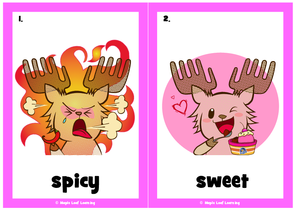 food-taste-flashcards