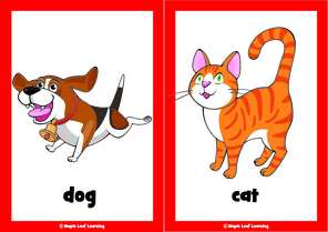 pet-flashcards